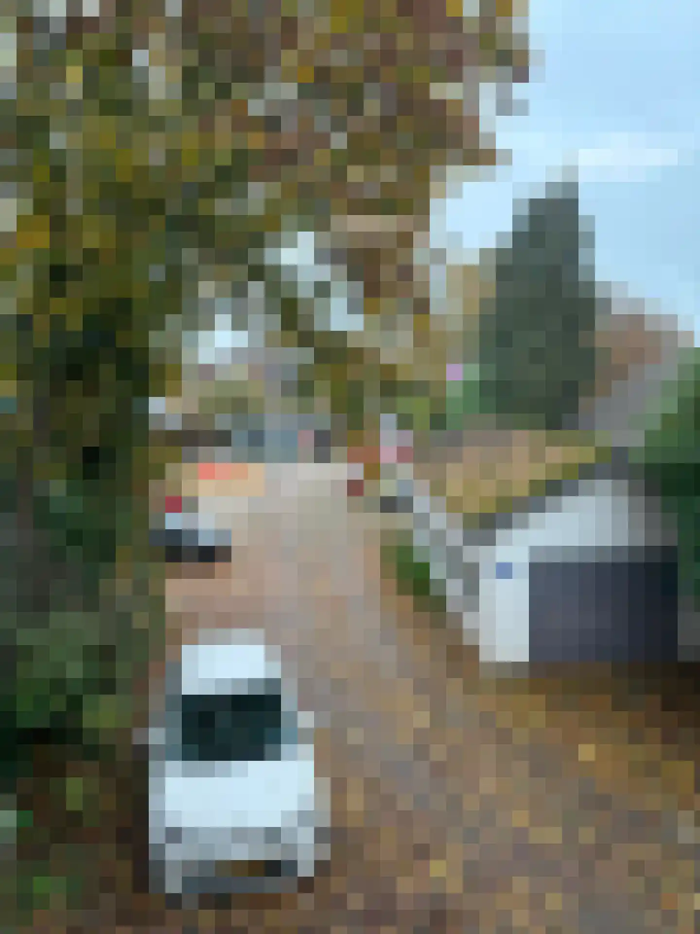 Binnenveld 23 Vorstenbosch thumbnail 40