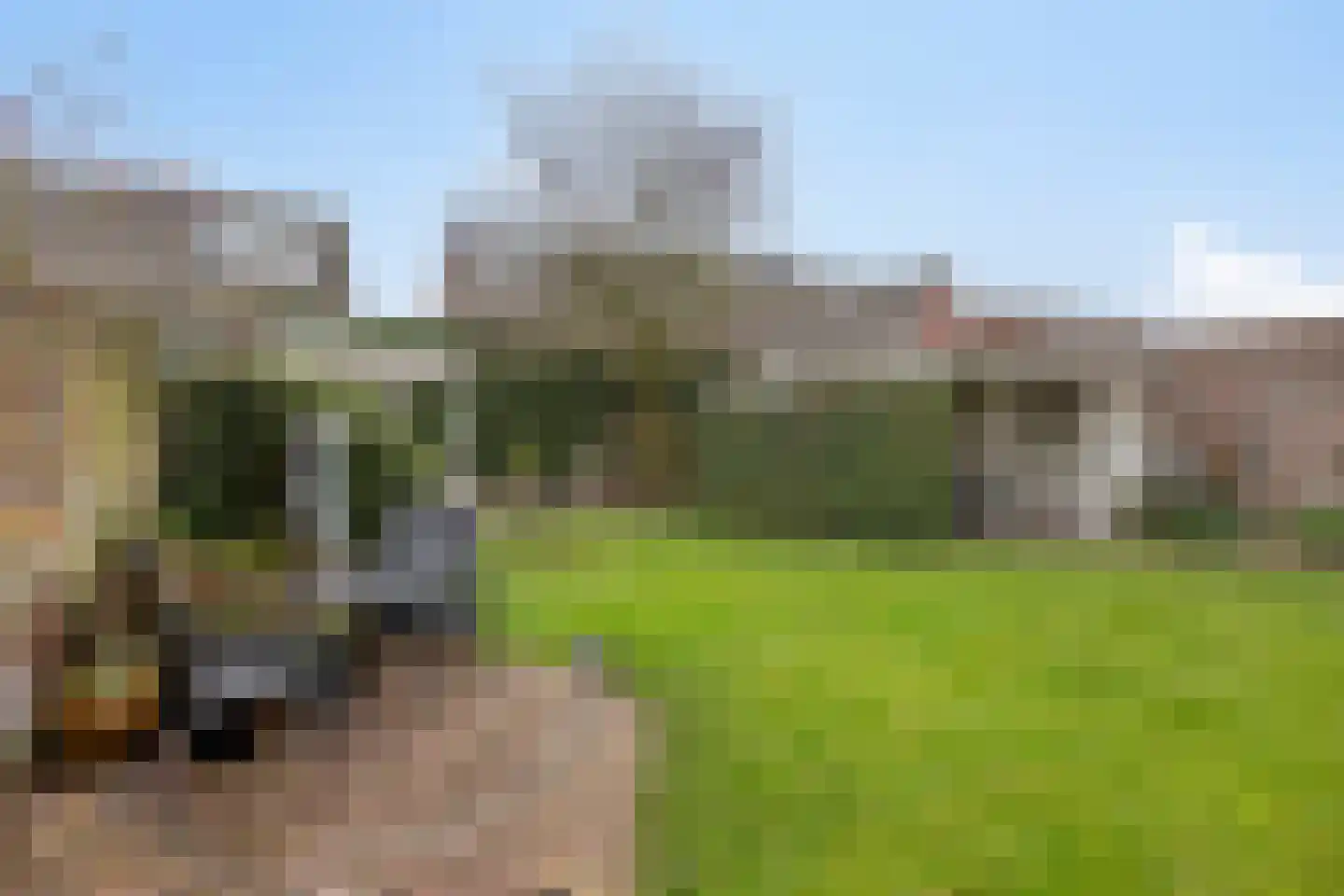 Binnenveld 23 Vorstenbosch thumbnail 45