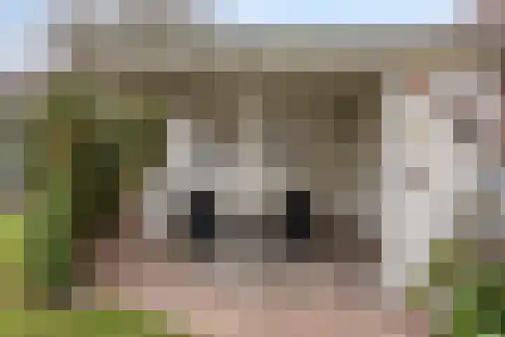 Binnenveld 23 Vorstenbosch thumbnail 48
