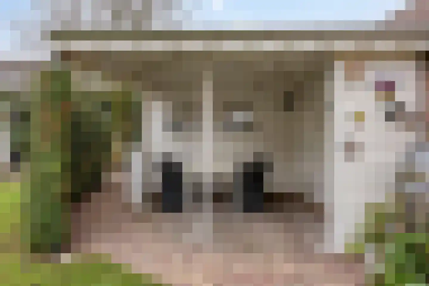 Binnenveld 23 Vorstenbosch thumbnail 48