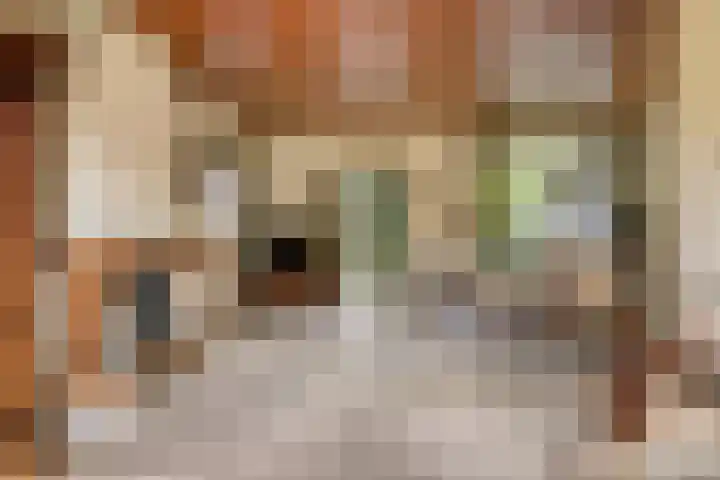 Binnenveld 23 Vorstenbosch thumbnail 5