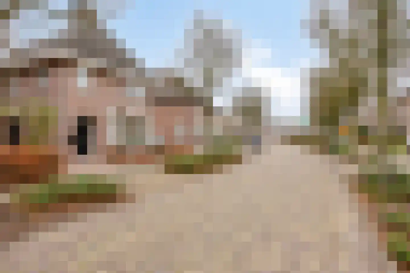 Binnenveld 23 Vorstenbosch thumbnail 58