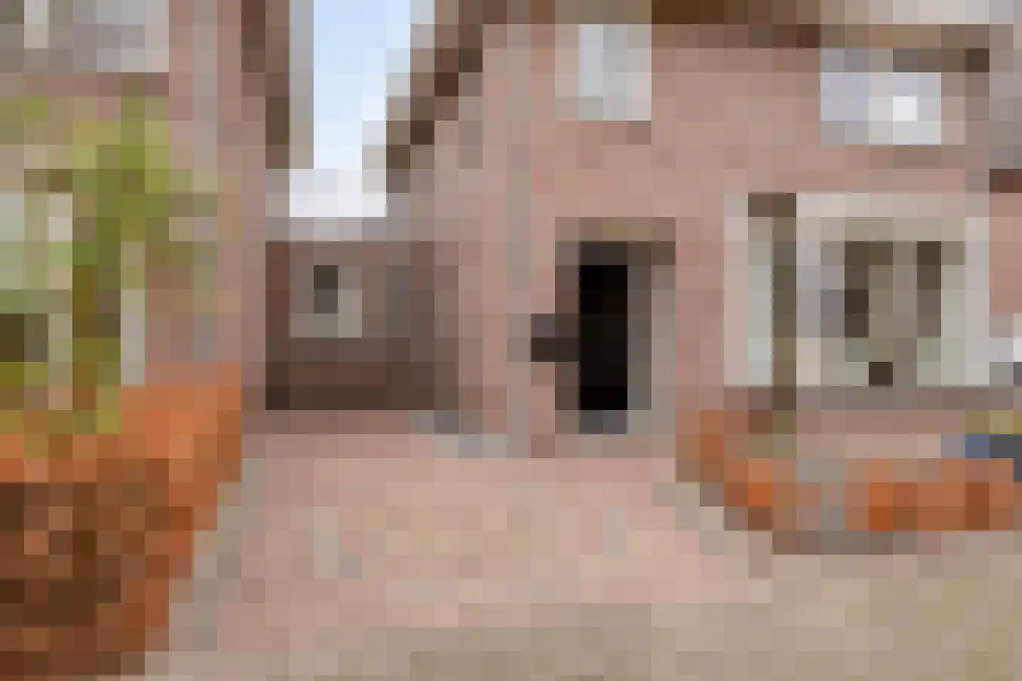 Binnenveld 23 Vorstenbosch thumbnail 7