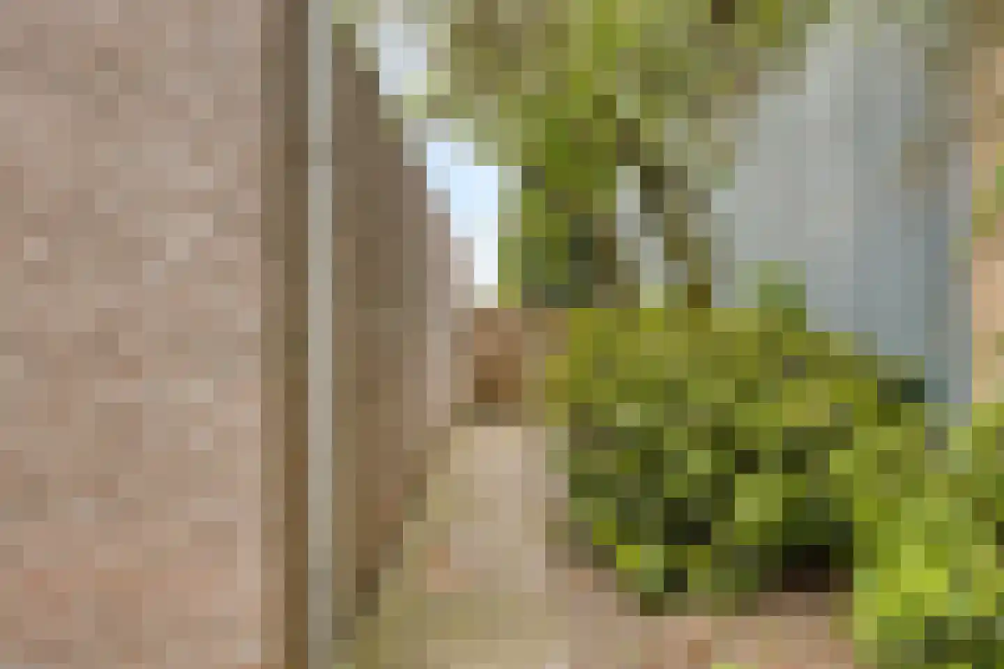 Binnenveld 4 Veghel thumbnail 26