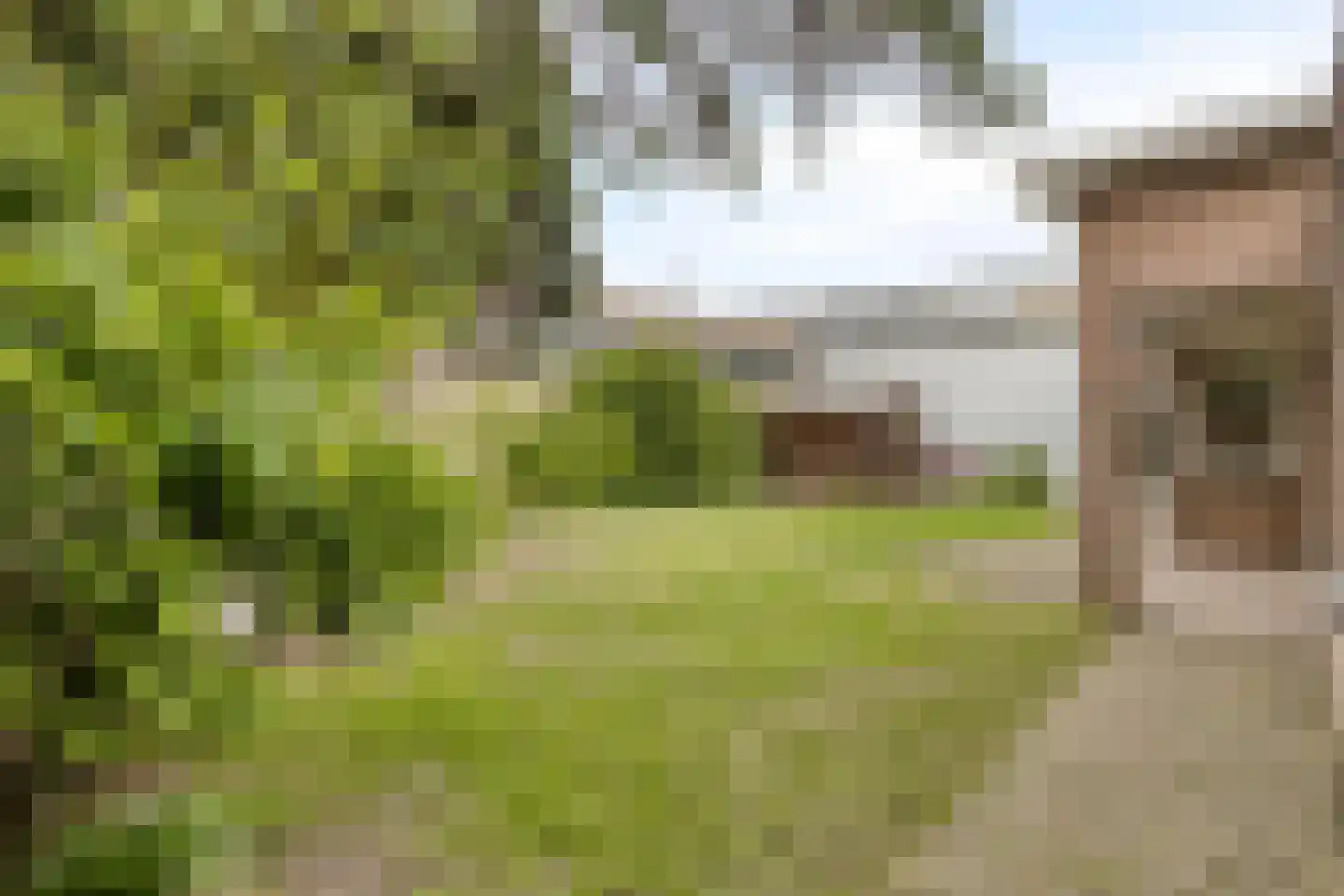 Binnenveld 4 Veghel thumbnail 27