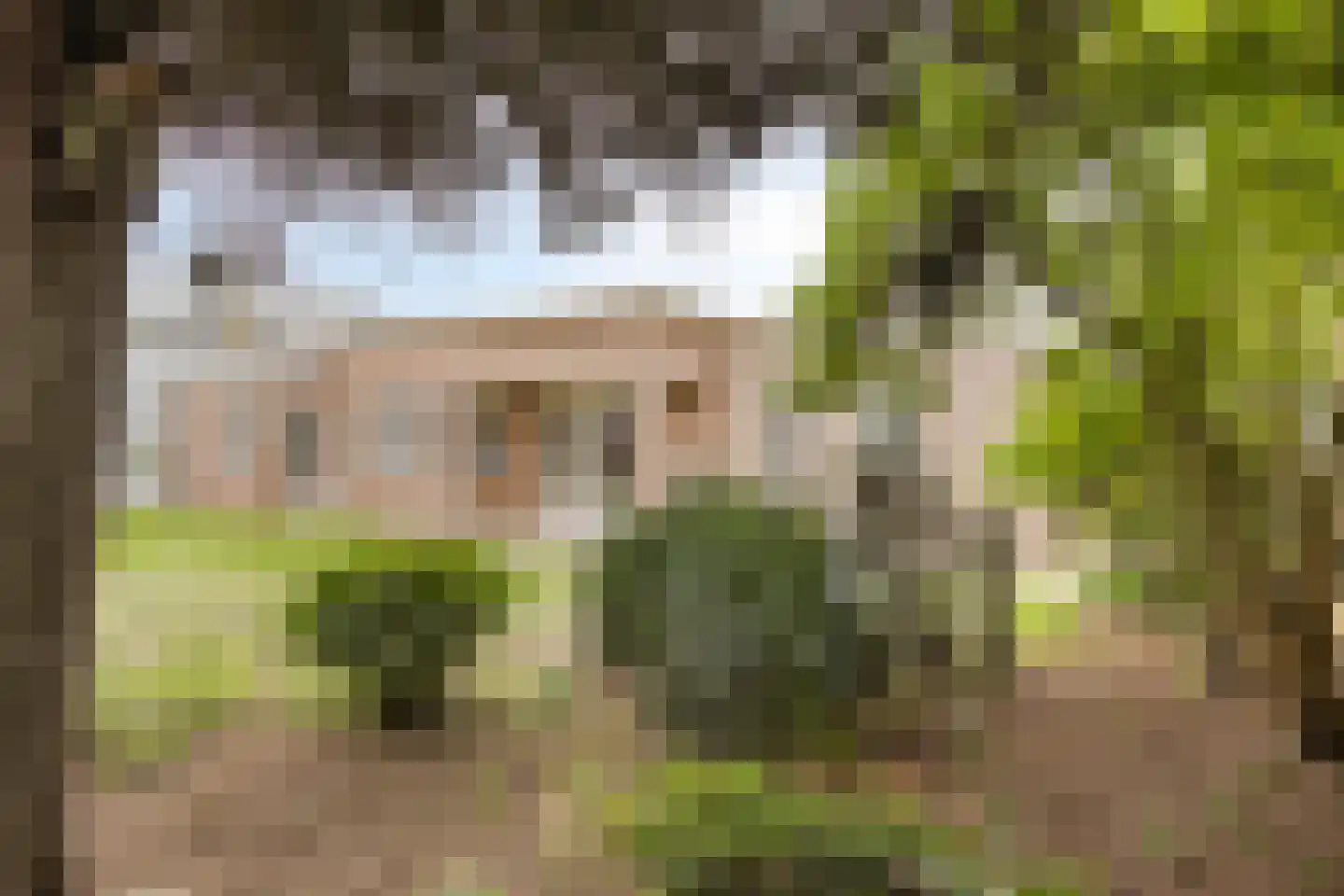Binnenveld 4 Veghel thumbnail 28