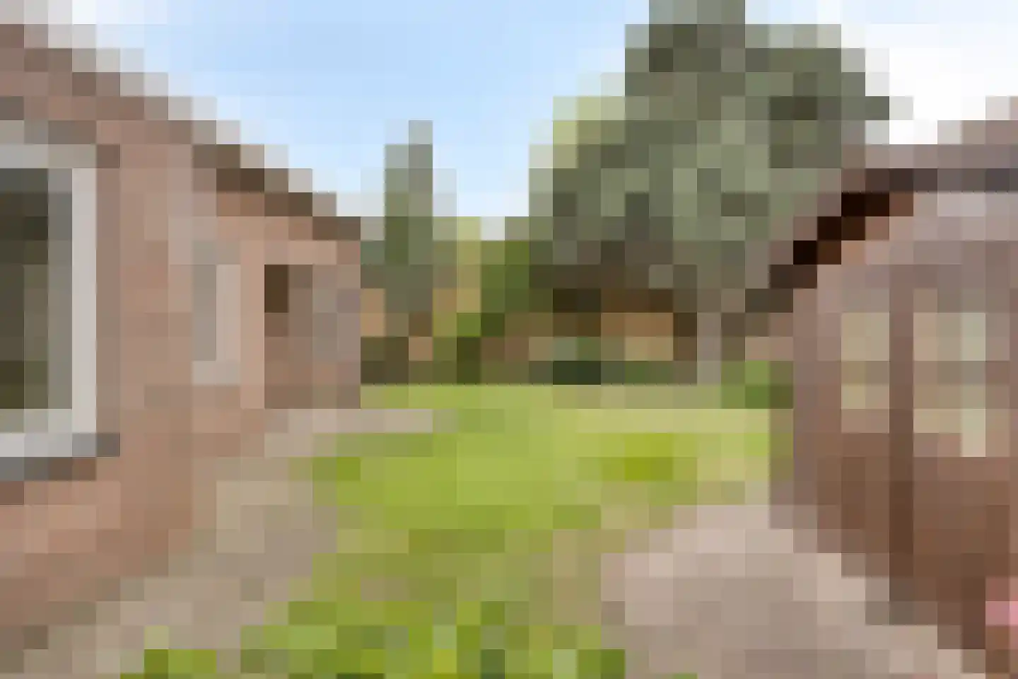 Binnenveld 4 Veghel thumbnail 31