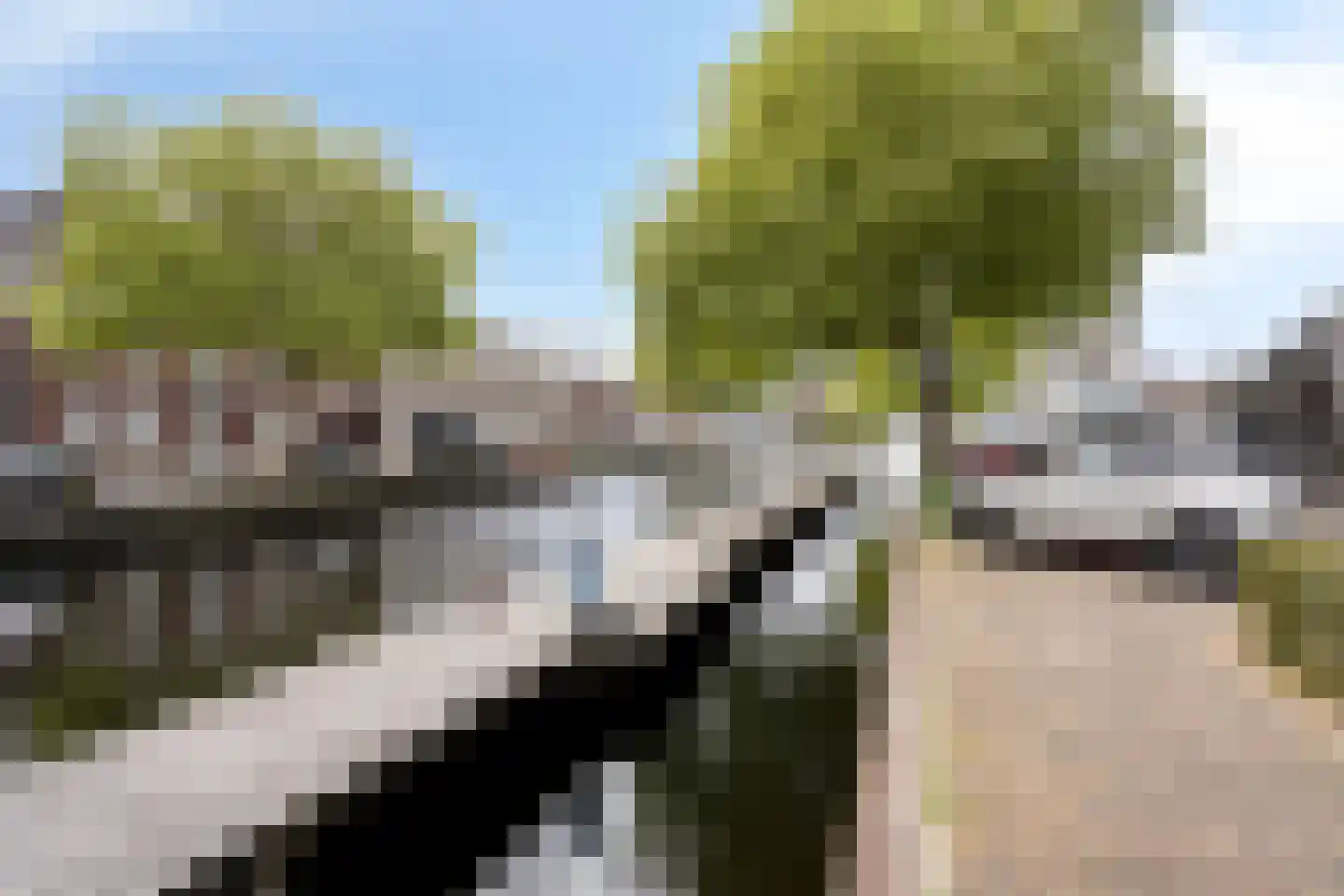 Binnenveld 4 Veghel thumbnail 37