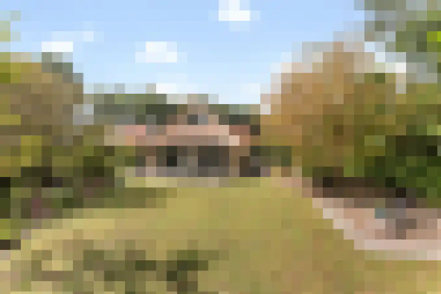 Binnenveldsweg 31 ZH02 Tubbergen thumbnail 19