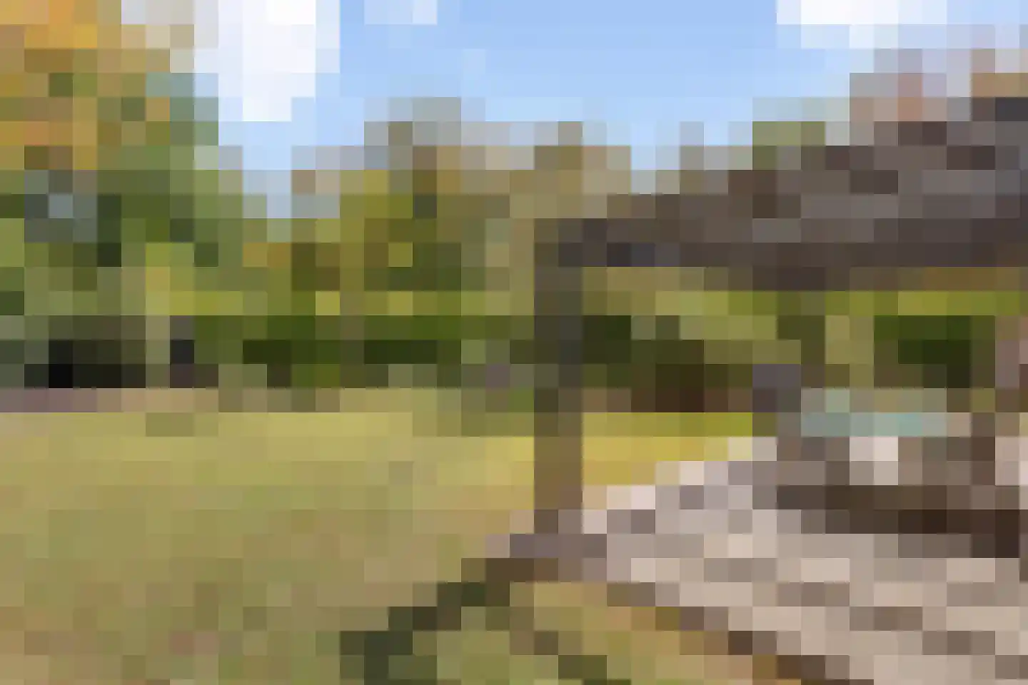 Binnenveldsweg 31 ZH02 Tubbergen thumbnail 21