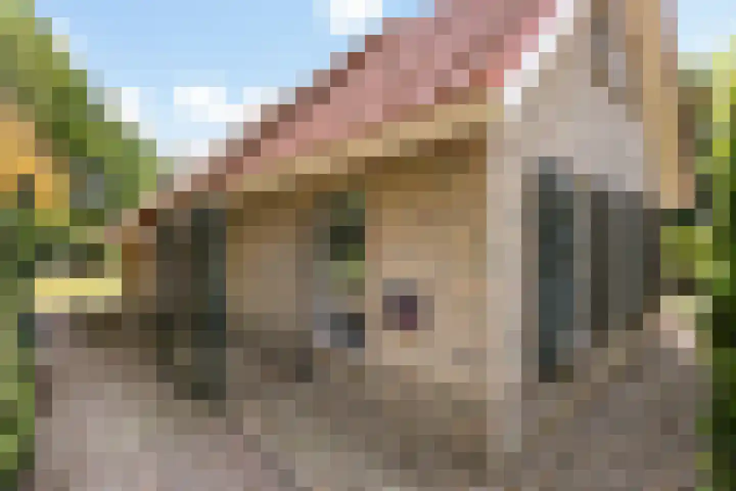 Binnenveldsweg 31 ZH02 Tubbergen thumbnail 7