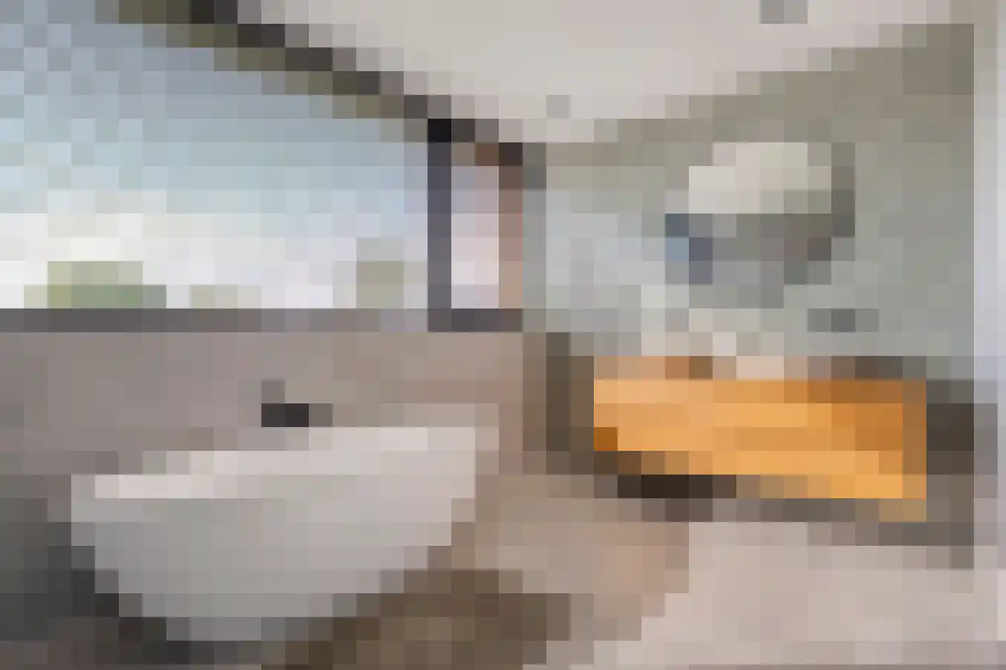 Binnenveldsweg 68 Tubbergen thumbnail 28