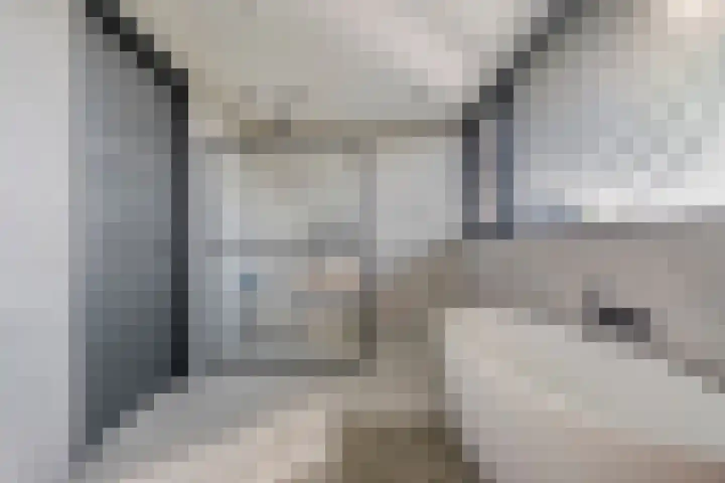 Binnenveldsweg 68 Tubbergen thumbnail 29