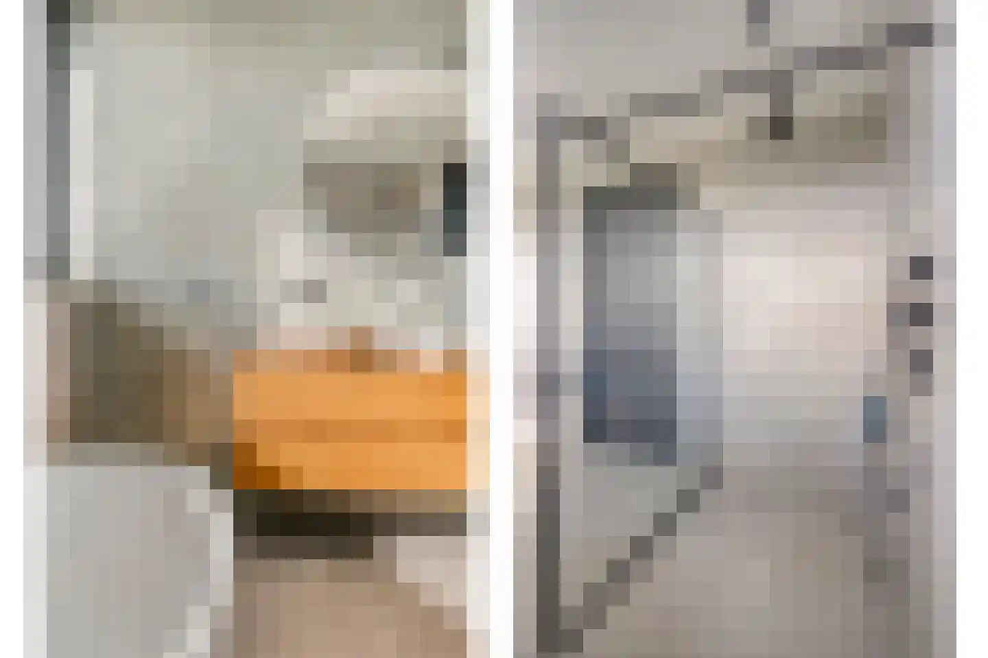 Binnenveldsweg 68 Tubbergen thumbnail 30