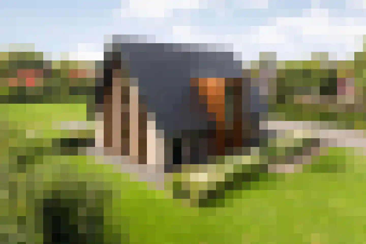 Binnenveldsweg 68 Tubbergen thumbnail 37