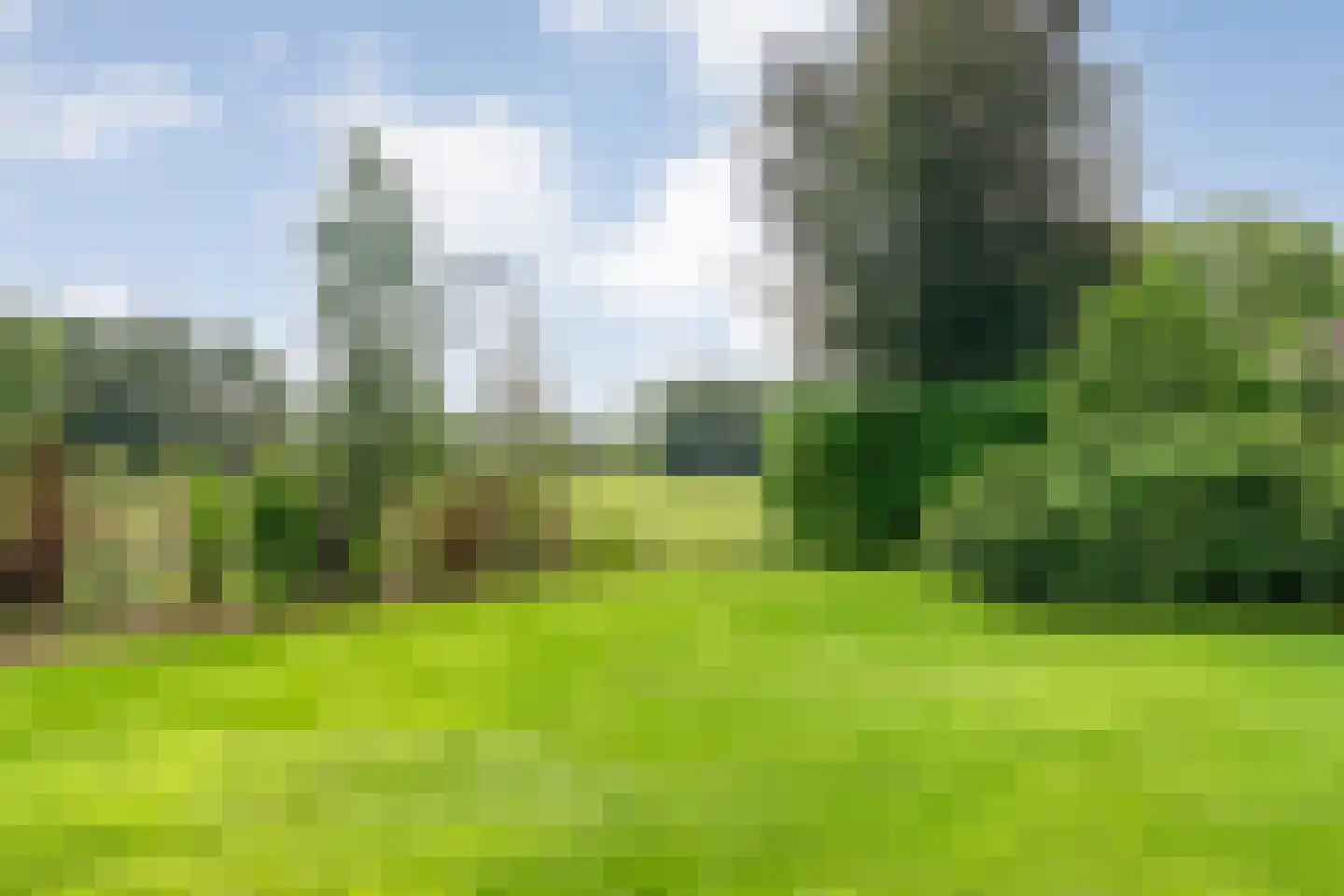 Binnenveldsweg 68 Tubbergen thumbnail 40