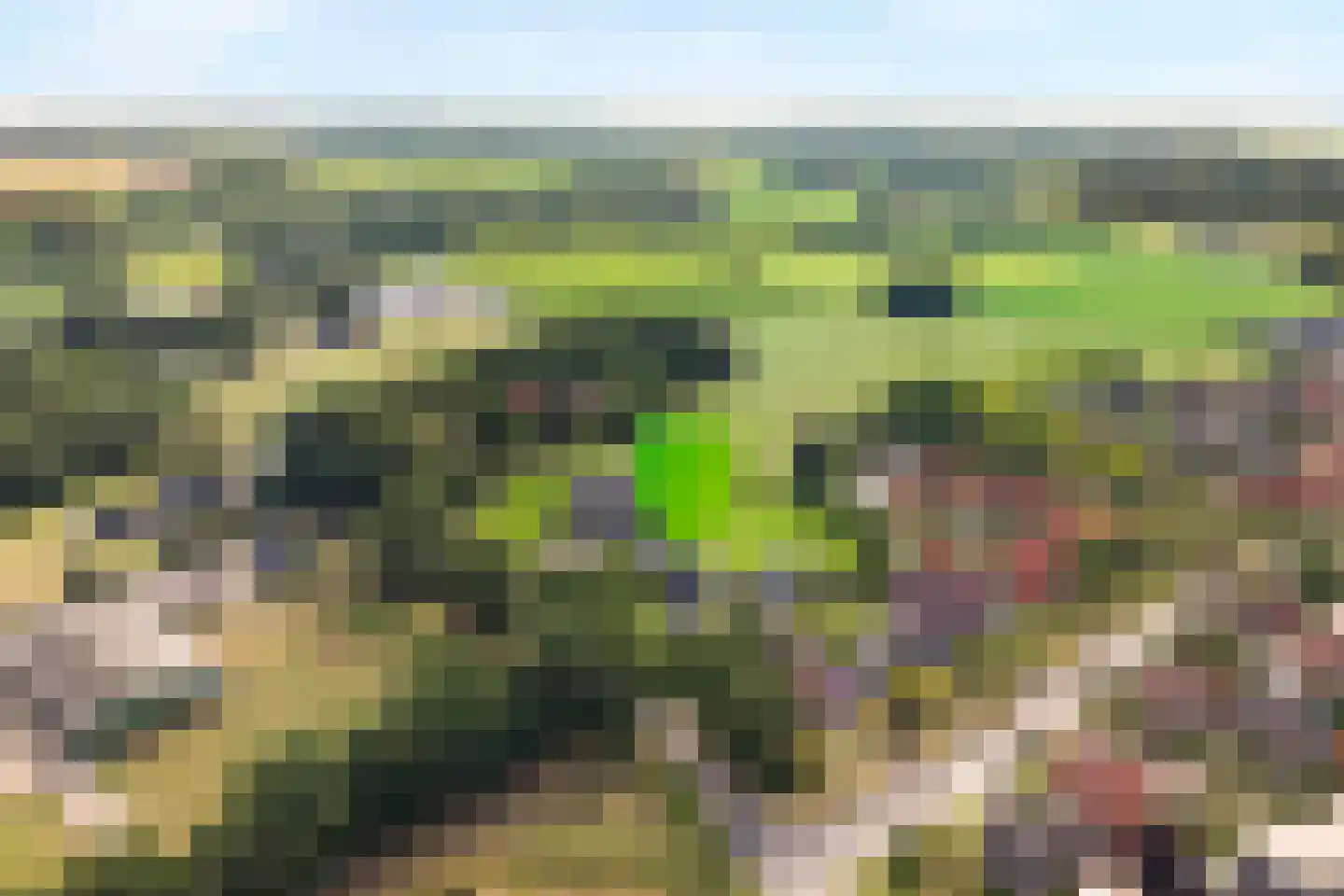Binnenveldsweg 68 Tubbergen thumbnail 45