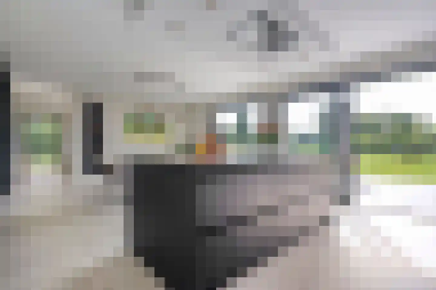 Binnenveldsweg 68 Tubbergen thumbnail 9