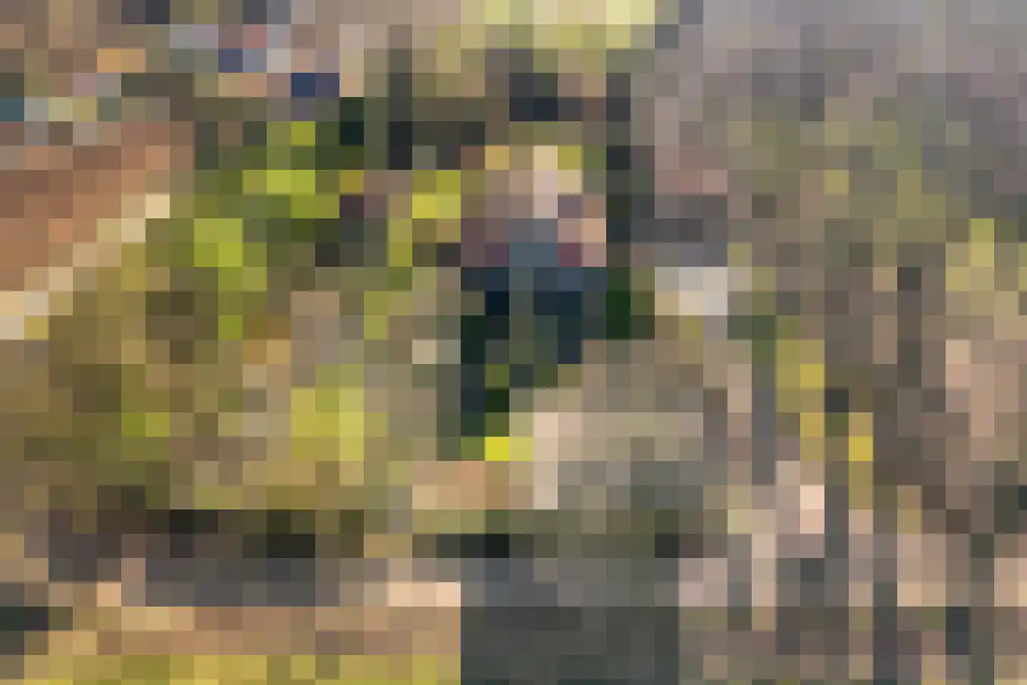 Binnenveldweg 37 Haaksbergen thumbnail 5