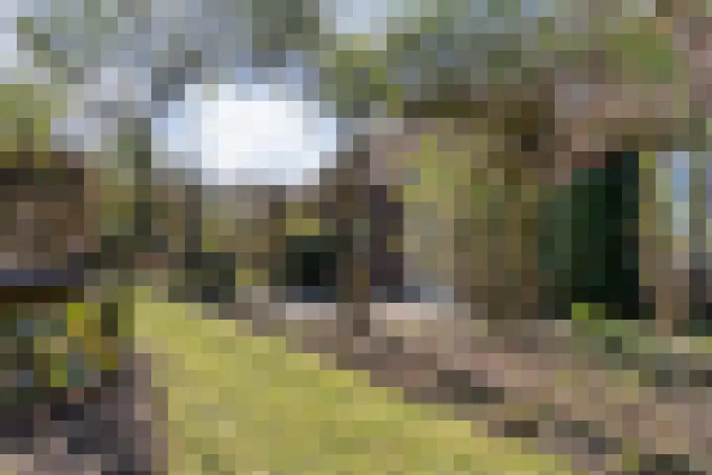 Binnenveldweg 37 Haaksbergen thumbnail 51