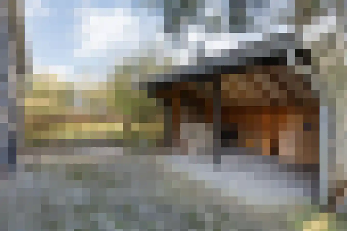 Binnenveldweg 37 Haaksbergen thumbnail 61