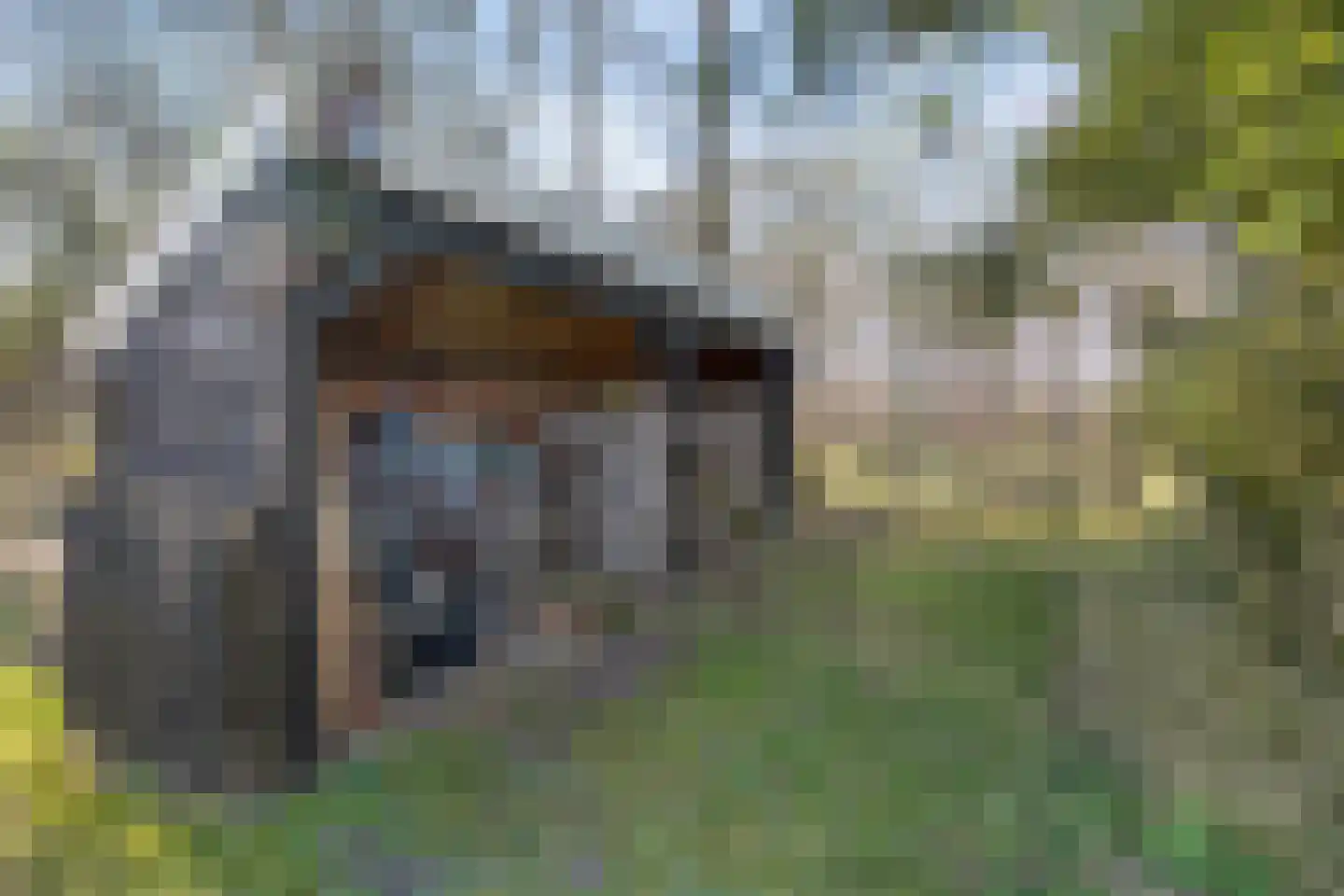 Binnenveldweg 37 Haaksbergen thumbnail 62