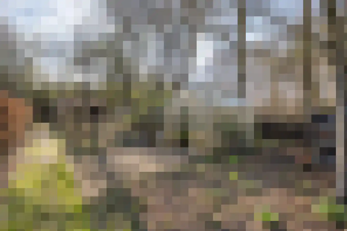 Binnenveldweg 37 Haaksbergen thumbnail 63