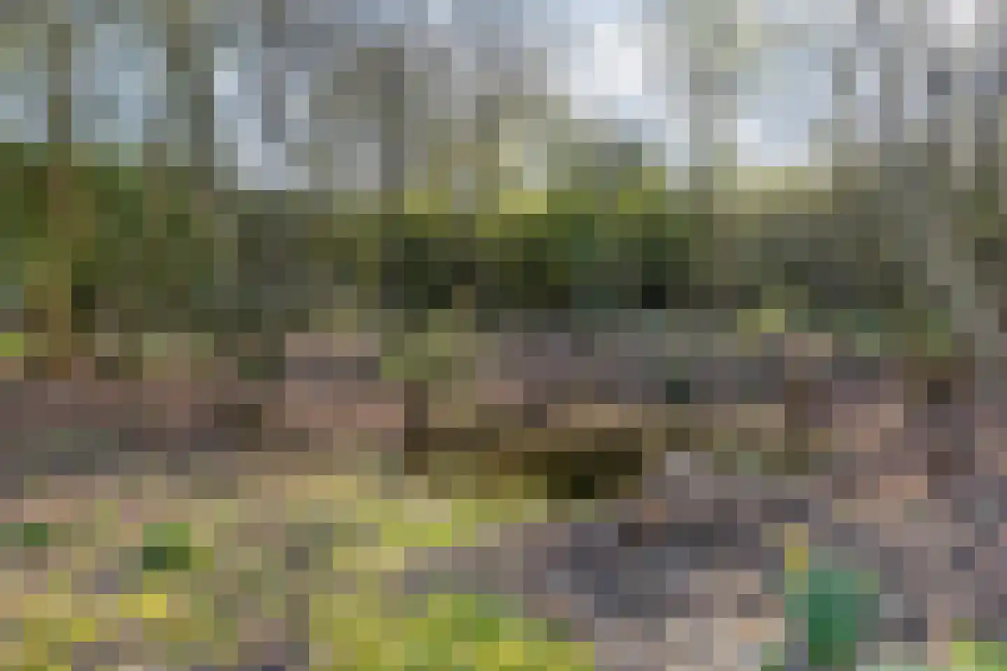 Binnenveldweg 37 Haaksbergen thumbnail 64