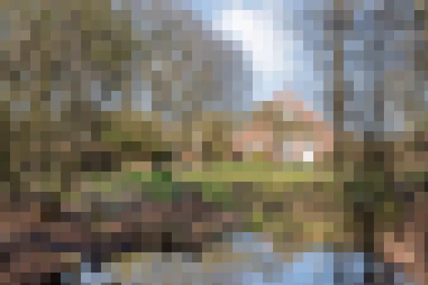 Binnenveldweg 37 Haaksbergen thumbnail 65