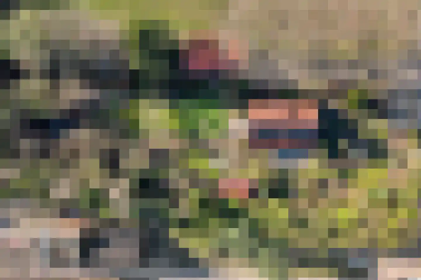 Binnenveldweg 37 Haaksbergen thumbnail 77