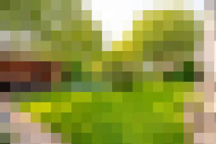 Binnenveldweg 7 Uddel thumbnail 40
