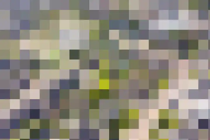Binnenveldweg 7 Uddel thumbnail 47