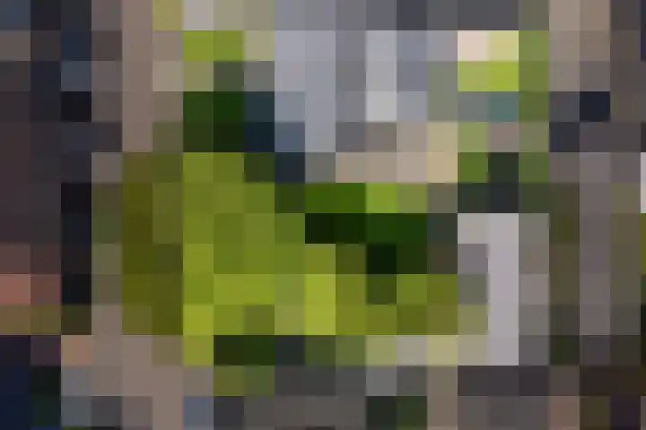 Binnenveldweg 7 Uddel thumbnail 48