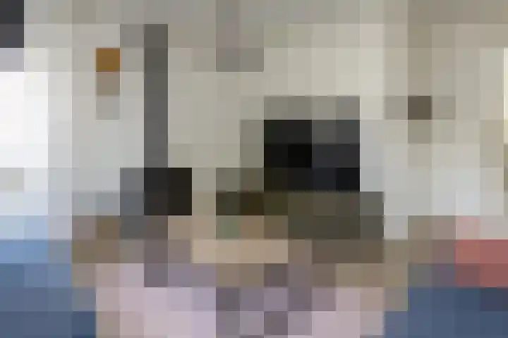 Binnenveldweg 8 Uddel thumbnail 15