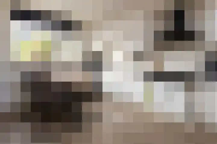 Binnenveldweg 8 Uddel thumbnail 17