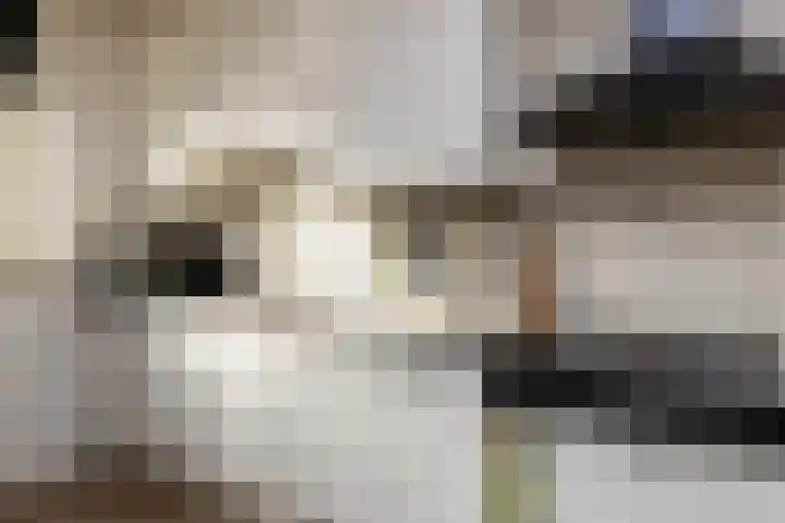 Binnenveldweg 8 Uddel thumbnail 19