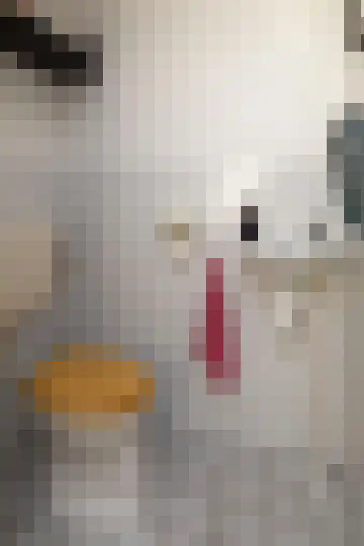 Binnenveldweg 8 Uddel thumbnail 22