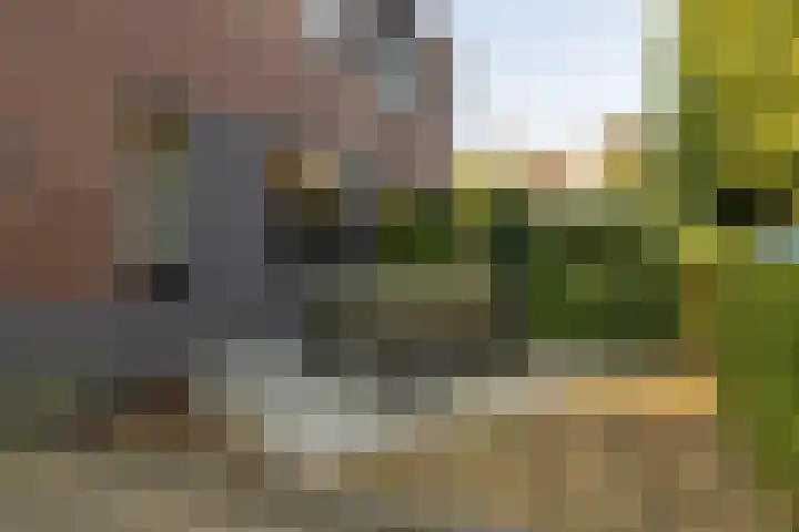 Binnenveldweg 8 Uddel thumbnail 38