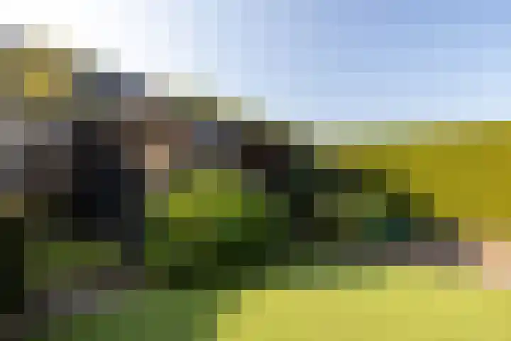 Binnenveldweg 8 Uddel thumbnail 6