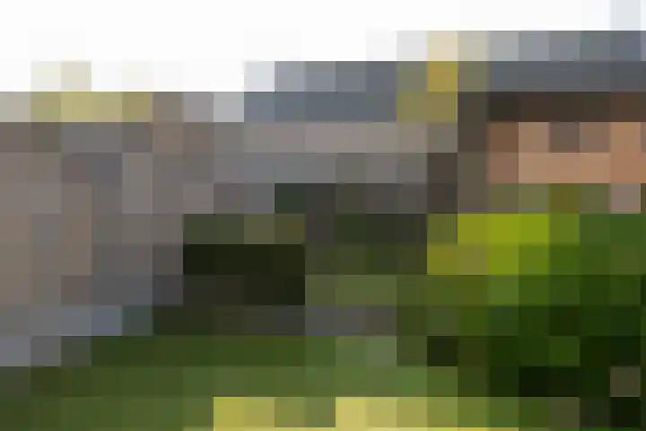 Binnenveldweg 8 Uddel thumbnail 8