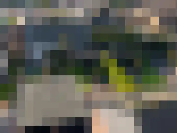 Binnenveldweg 8 Uddel thumbnail 9