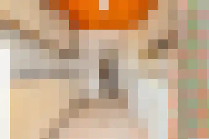 Binnenvenstraat 19 Uitgeest thumbnail 13