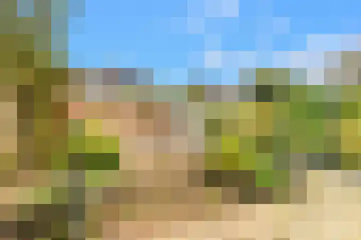 Binnenvenstraat 19 Uitgeest thumbnail 29