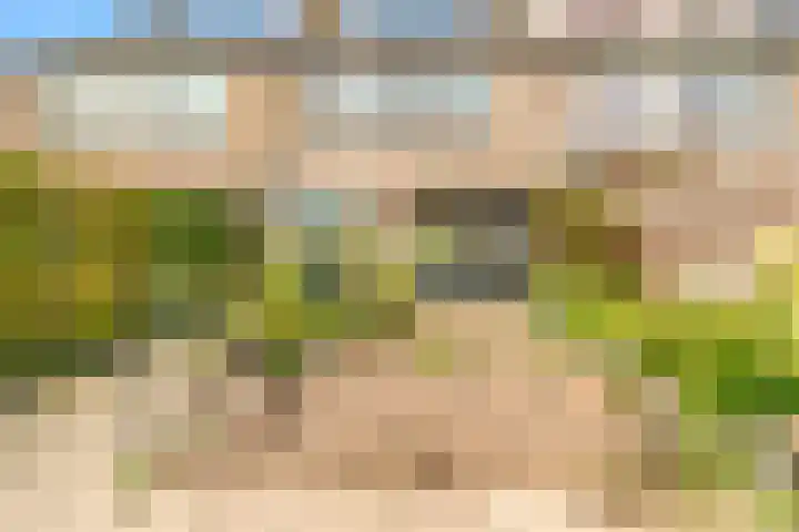 Binnenvenstraat 19 Uitgeest thumbnail 30