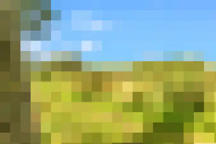 Binnenvenstraat 19 Uitgeest thumbnail 35
