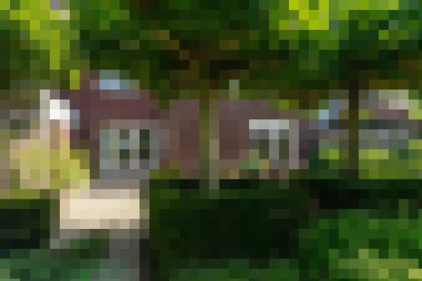 Binnenwaard 1 Wijk en Aalburg thumbnail 36