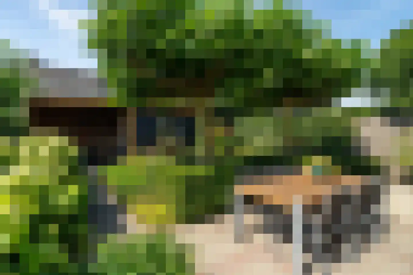 Binnenwaard 1 Wijk en Aalburg thumbnail 40