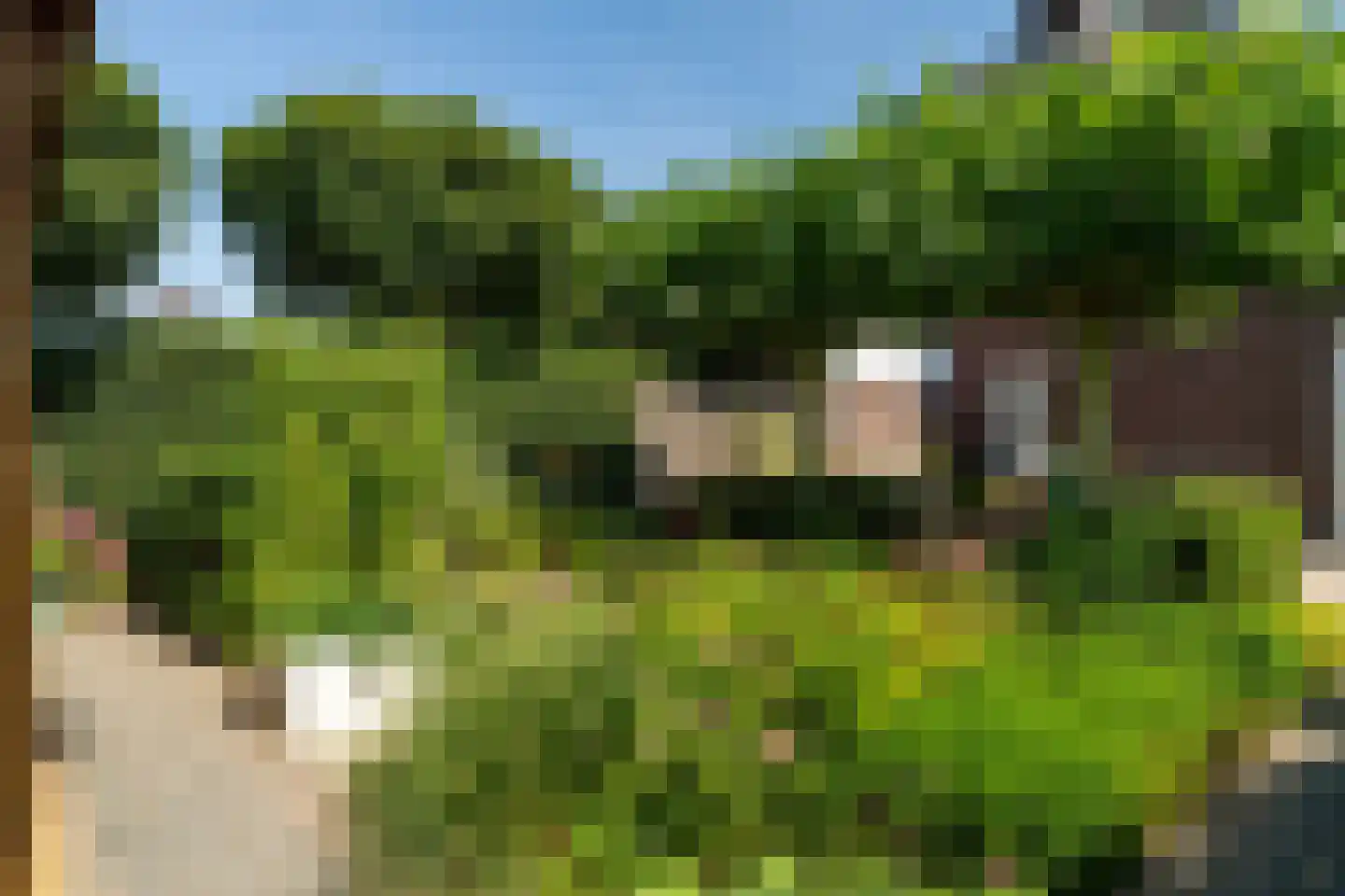 Binnenwaard 1 Wijk en Aalburg thumbnail 42