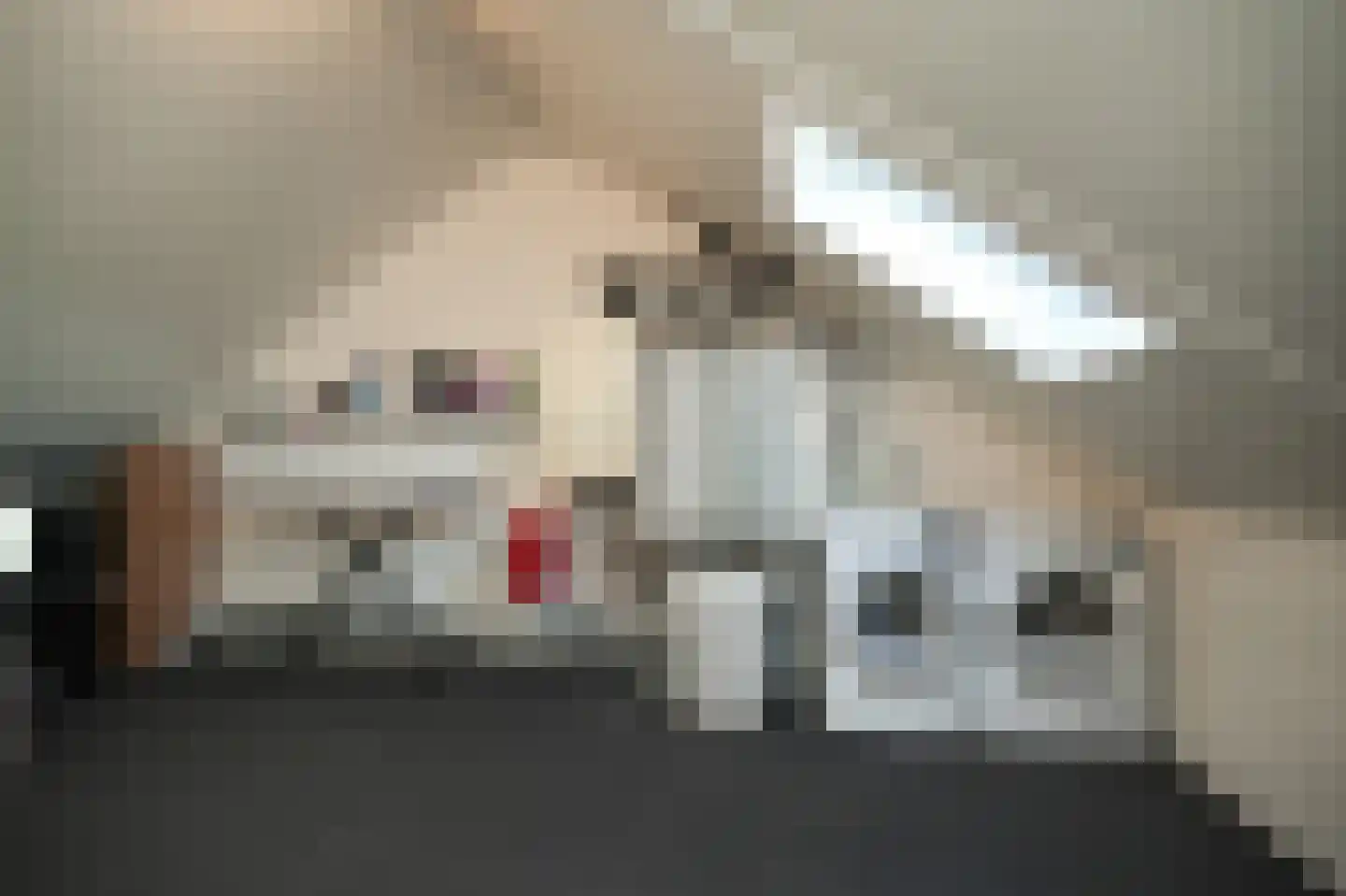 Binnenwaard 12 Wijk en Aalburg thumbnail 32
