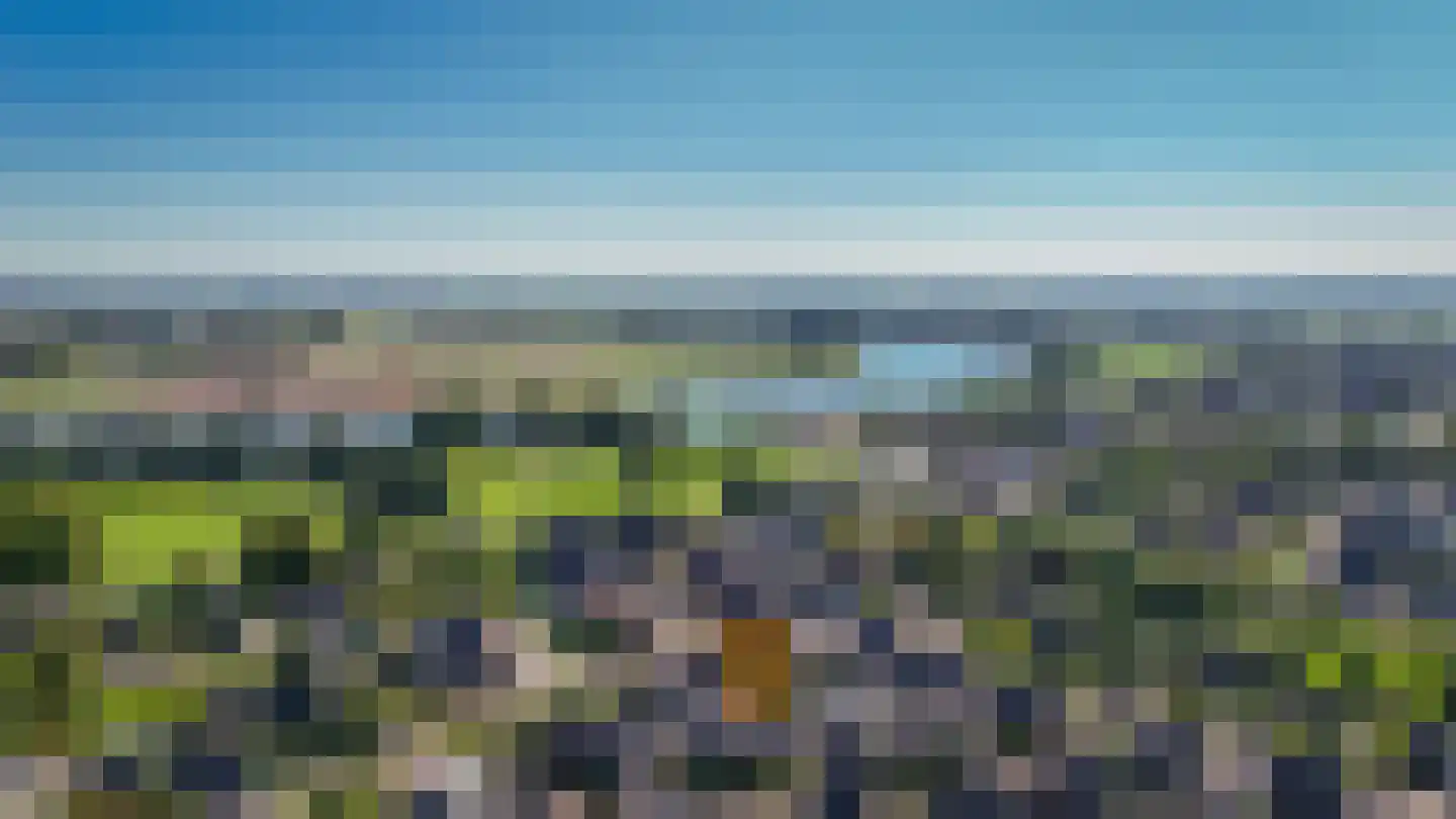 Binnenwaard 12 Wijk en Aalburg thumbnail 43